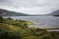 01092012-06913-connemara-burren-papamaman-sept2012