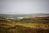 01092012-06953-connemara-burren-papamaman-sept2012