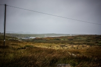 01092012-06959-connemara-burren-papamaman-sept2012