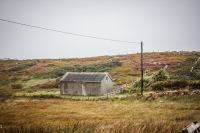 01092012-06962-connemara-burren-papamaman-sept2012