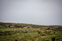 01092012-06976-connemara-burren-papamaman-sept2012