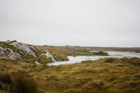 01092012-07012-connemara-burren-papamaman-sept2012