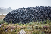 01092012-07036-connemara-burren-papamaman-sept2012
