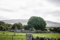 02092012-07070-sans-titre