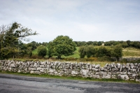 02092012-07072-sans-titre