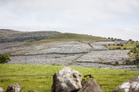 02092012-07075-sans-titre