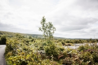 02092012-07076-sans-titre