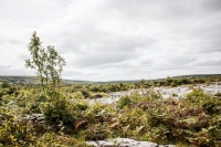 02092012-07077-sans-titre
