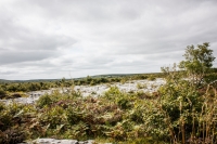 02092012-07078-sans-titre