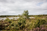 02092012-07079-sans-titre