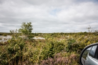02092012-07080-sans-titre