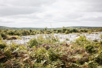 02092012-07081-sans-titre