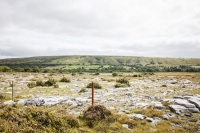 02092012-07082-sans-titre
