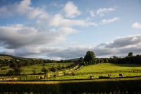 02092012-07090-sans-titre