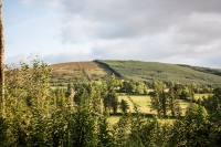 02092012-07092-sans-titre
