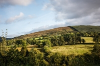 02092012-07093-sans-titre