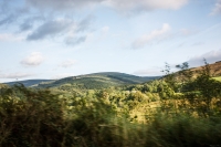 02092012-07094-sans-titre
