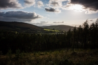 02092012-07102-sans-titre