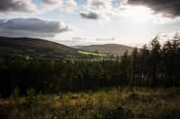 02092012-07104-sans-titre