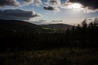 02092012-07105-sans-titre
