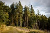 02092012-07108-sans-titre