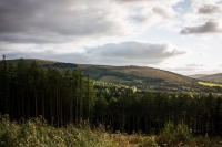 02092012-07109-sans-titre