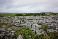 31082012-06751-burren-connemara-parents-sept2012