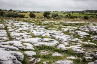 31082012-06853-burren-connemara-parents-sept2012