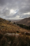 08032013-08454-sans-titre