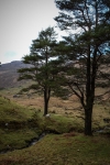 08032013-08459-sans-titre