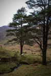 08032013-08460-sans-titre