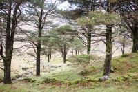 08032013-08461-sans-titre