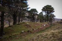 08032013-08462-sans-titre