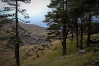 08032013-08464-sans-titre