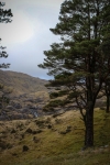 08032013-08465-sans-titre
