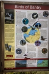 08032013-08610-southwest