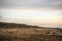 08032013-08678-southwest