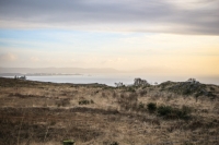 08032013-08680-southwest
