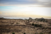 08032013-08682-southwest