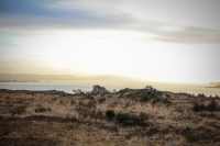 08032013-08694-southwest