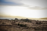 08032013-08695-southwest