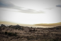08032013-08696-southwest