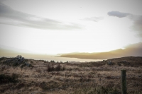 08032013-08697-southwest