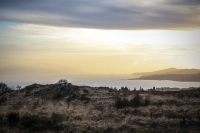 08032013-08702-southwest