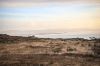 08032013-08704-southwest