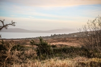 08032013-08715-southwest