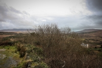 09032013-08766-southwest