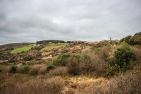 09032013-08770-southwest