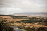 09032013-08773-southwest