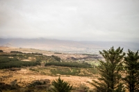 09032013-08774-southwest